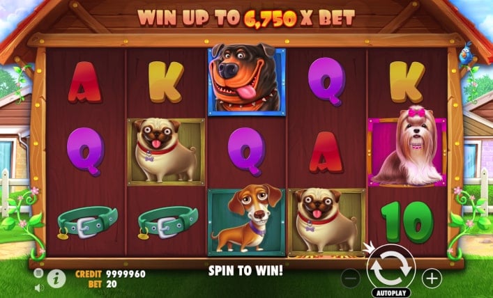 locowin casino test