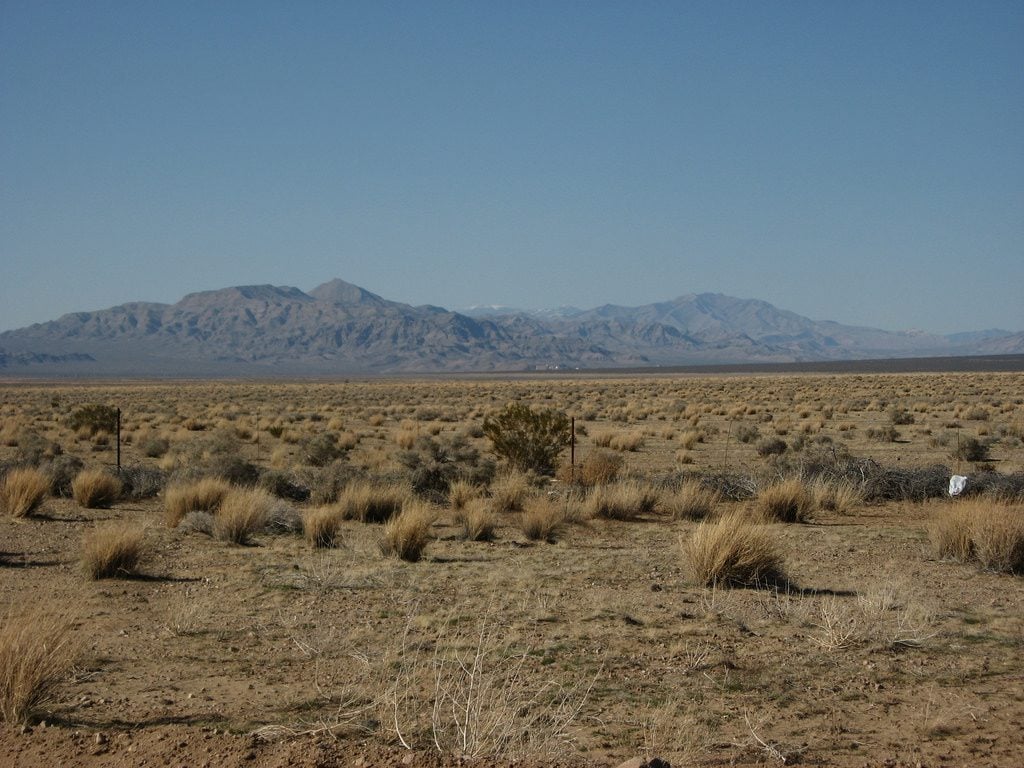 Wüste Nevadas bei Primm