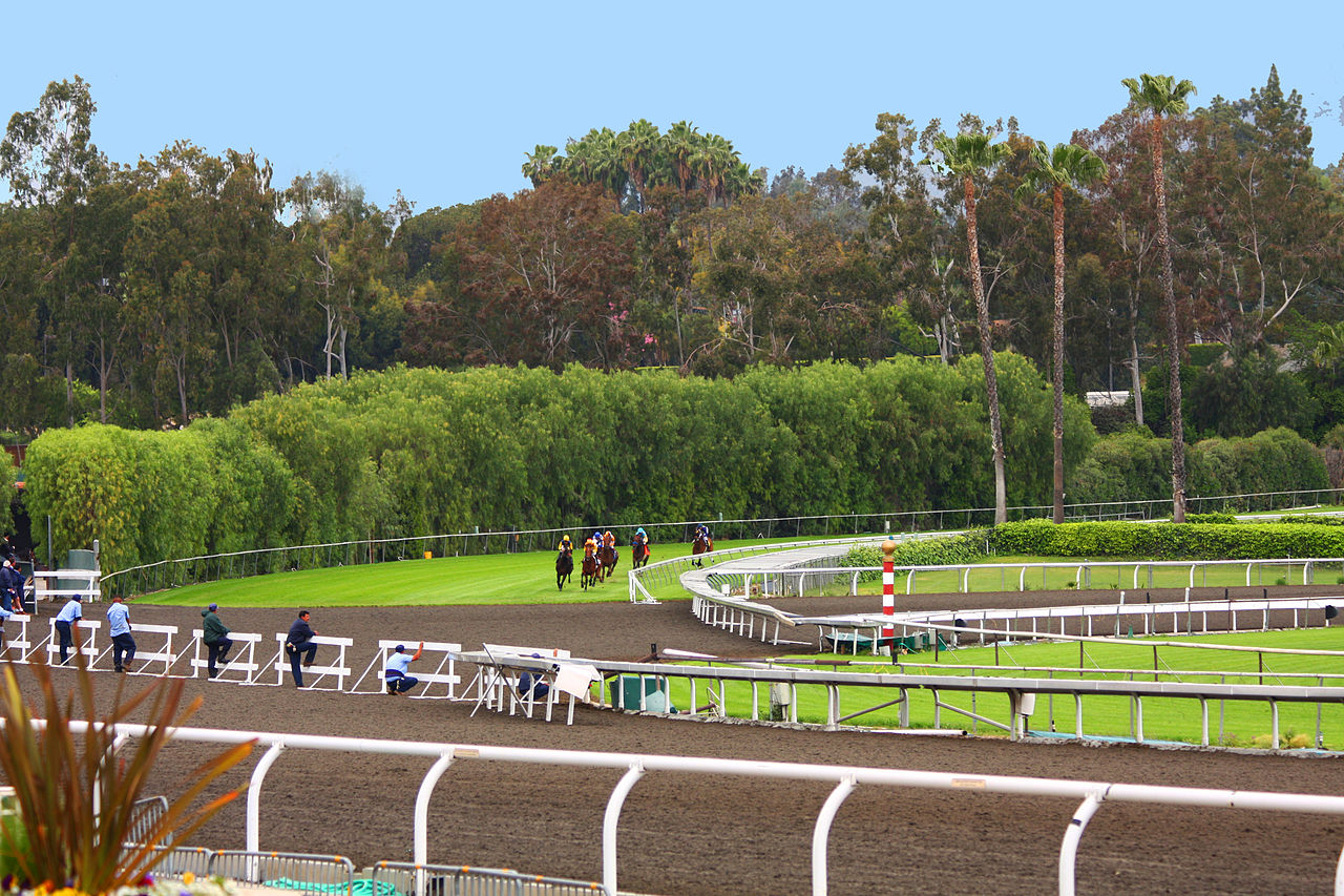 21 Pferde Auf Der Santa Anita Park Rennstrecke Gestorben